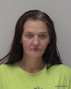 Erin Wilcox Arrest Mugshot