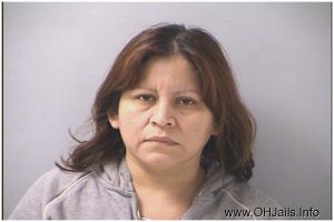 Haydee Santos-amaya Arrest