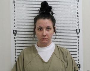 Heather Clark Arrest Mugshot