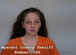 Heather Hyden Arrest Mugshot