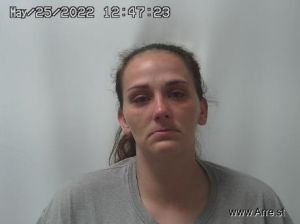 Heather Robison Arrest Mugshot