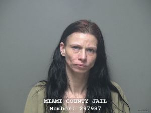 Heidi Cruz Arrest Mugshot