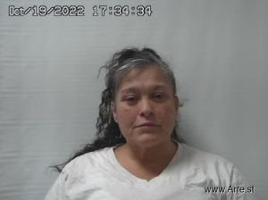 Heidi Evans Arrest