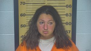 Heidi Schmidt Arrest Mugshot