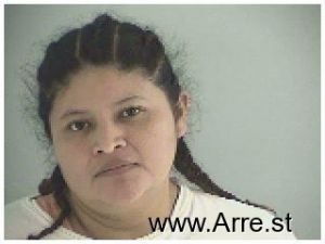 Heidi Turcios Alvarenga Arrest Mugshot