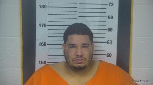 Jeremy De Leon Arrest Mugshot