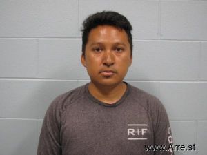 Jani Halcyon Arrest Mugshot