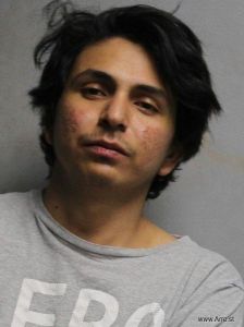 Jose Arana Alfaro Arrest Mugshot