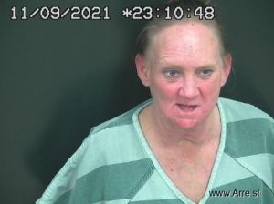 Judith Apking Arrest Mugshot