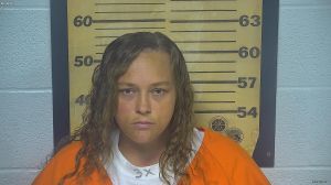 Julie Little Arrest Mugshot