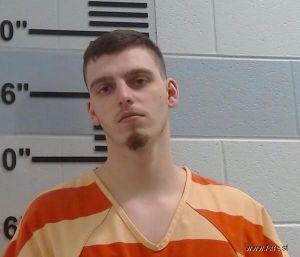 Justin Davidson Arrest Mugshot