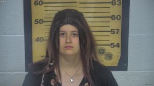 Kaitlyn Hall Arrest Mugshot