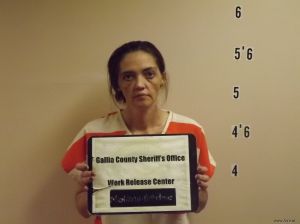 Kimberly Molihan-meadows Arrest Mugshot