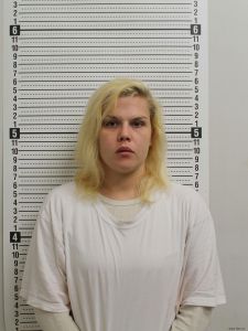Krista Giffin Arrest Mugshot