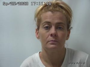 Kristin Werlein Arrest Mugshot