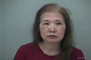 Lan Phuong Vu Arrest Mugshot