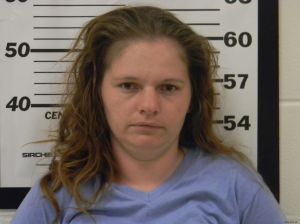 Lisa Poe Arrest Mugshot