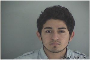 Luis P Arrest