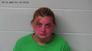 Lacey Hebb Arrest