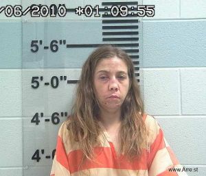 Lauren Mcconnell Arrest