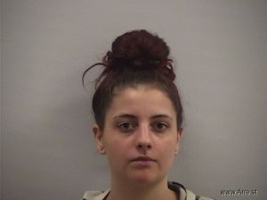 Lily Anderson Arrest Mugshot