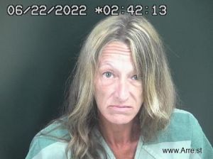 Lisa Bender Arrest Mugshot