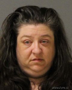 Lisa Wilkins Arrest Mugshot