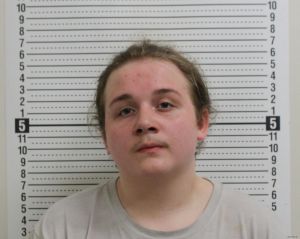 Logan Lightle Arrest Mugshot