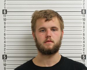 Logan Reno Arrest Mugshot