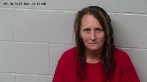 Lori Hoge Arrest
