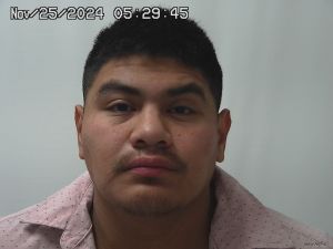 Luis Fox Arrest Mugshot