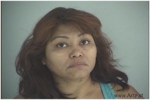 Maria Ramirez-coria Arrest