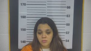 Marisa Winter Arrest Mugshot