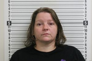 Megan Bridges Arrest