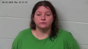 Megan Bridges Arrest Mugshot