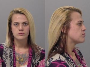 Megan Miner Arrest Mugshot