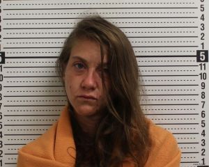 Megan Oliver Arrest Mugshot