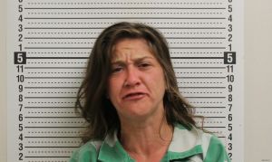 Megan Oliver Arrest Mugshot