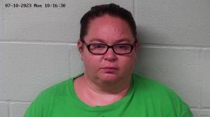 Megan Wilson Arrest Mugshot