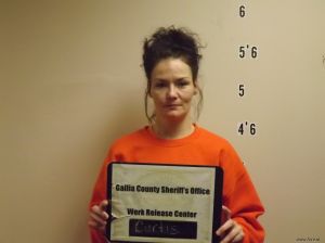 Melissa Curtis Arrest Mugshot