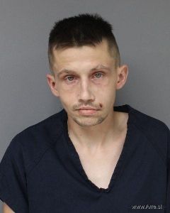 Michael Palmer Arrest Mugshot