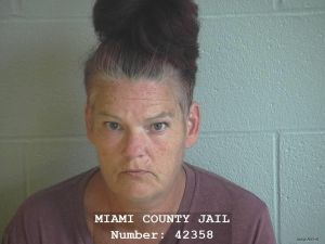 Michele Lee Arrest