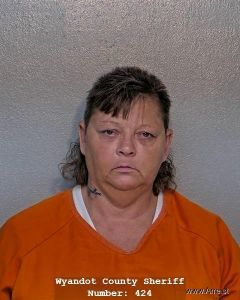 Michelle Schlosser Arrest Mugshot