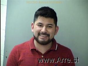 Misael Martinez-canseco Arrest