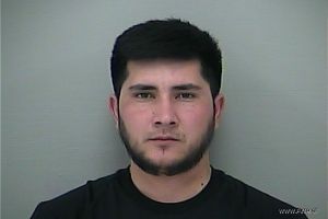 Nmn Abaev Arrest Mugshot