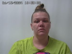 Natasha Castle Arrest Mugshot