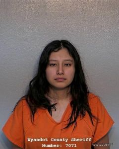 Nayeli Ayala Arrest Mugshot