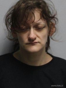 Nichole Sink Arrest Mugshot