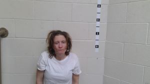 Nicole Lynn Arrest Mugshot
