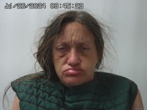 Patricia Sullivan Arrest Mugshot